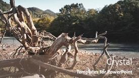  Presentation with mountain water - Beautiful slide deck featuring snags of trees stick out of the mountain river water the beautiful nature of the georgia backdrop and a violet colored foreground