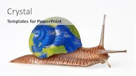  Presentation with snail - Amazing PPT theme having snail-carring-the-planet-earth backdrop and a white colored foreground