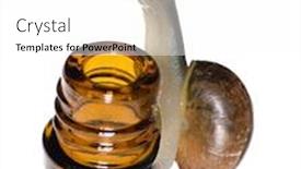  Presentation with snail - Slide deck featuring snail-on-bottle-isolated background and a white colored foreground