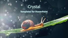  Presentation with water sustainbillity - Beautiful PPT theme featuring snail with water particles bokeh backdrop and a  colored foreground