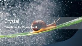  Presentation with electrical engineer electrical water pump - Slide deck consisting of snail with water particles bokeh background and a gray colored foreground