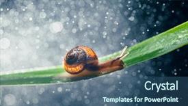  Presentation with water ressource - PPT layouts with snail with water particles bokeh background and a  colored foreground