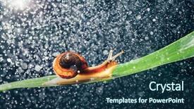  Presentation with water dessalement - Colorful PPT theme enhanced with snail with water particles bokeh backdrop and a  colored foreground