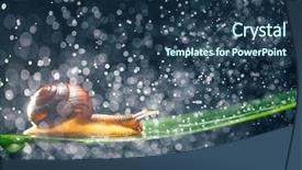  Presentation with water purifier - Amazing slide set having snail with water particles bokeh backdrop and a  colored foreground