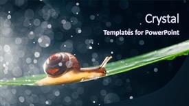  Presentation with centrifugal pump motor in water - Presentation theme having snail with water particles bokeh background and a  colored foreground