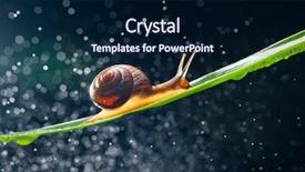  Presentation with water agriculture canals - PPT theme enhanced with snail with water particles bokeh background and a  colored foreground