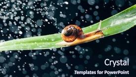  Presentation with water management resourse - Slide set consisting of snail with water particles bokeh background and a  colored foreground