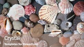  Presentation with sea shells - PPT theme enhanced with snails beach - beautiful background of sea shells background and a coral colored foreground