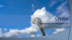  Presentation with mayan - Slides enhanced with snails beach - laguna de bacalar lagoon snail background and a  colored foreground