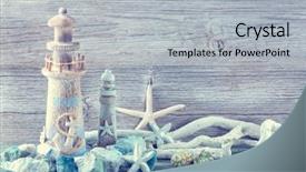  Presentation with marine life - PPT theme consisting of snails beach - marine life decoration background and a light gray colored foreground