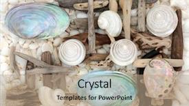  Presentation with pearl - Amazing theme having snails beach - mother of pearl shells backdrop and a coral colored foreground