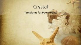  Presentation with border - Beautiful PPT theme featuring side view of a male climber taking picture of snowy mountains on peak backdrop and a light gray colored foreground