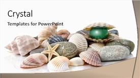  Presentation with stylized - Audience pleasing slides consisting of snails river - various color shells with stylized backdrop and a  colored foreground