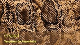  Presentation with fabric - PPT theme enhanced with snake-pattern-fabric-texture-close background and a tawny brown colored foreground
