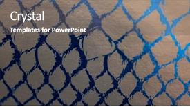  Presentation with skin - Presentation theme with snake skin abstract background texture background and a gray colored foreground