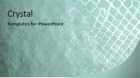  Presentation with skin - Slides featuring snake skin abstract background texture background and a light blue colored foreground