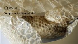  Presentation with education red - Presentation theme enhanced with snake-skin-shedded-snake-skin background and a coral colored foreground