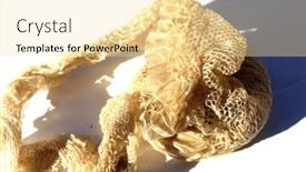  Presentation with education red - Presentation having snake-skin-shedded-snake-skin background and a blonde colored foreground