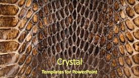  Presentation with skin - PPT layouts having snake skin surface texture close background and a tawny brown colored foreground