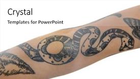  Presentation with tattoo - Amazing slide set having snake tattoo on female arm backdrop and a white colored foreground