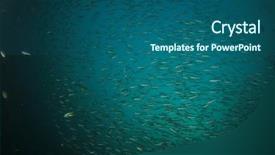  Presentation with school - Colorful PPT theme enhanced with snapper-fish-school and a ocean colored foreground