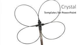  Presentation with archery - Beautiful PPT theme featuring hunting birds with archery backdrop and a white colored foreground