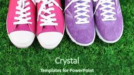  Presentation with beautiful green - Slide deck featuring snickers - beautiful gumshoes on green grass background and a forest green colored foreground