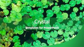  Presentation with drone - Slide set consisting of snitch - aerial drone top view background and a shamrock green colored foreground