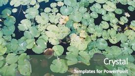  Presentation with drone - Slide deck having snitch - aerial drone top view background and a ocean colored foreground