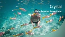  Presentation with brain and spinal cord - Presentation theme consisting of snorkeler diving along the brain background and a ocean colored foreground