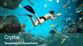  Presentation with brain and spinal cord - Cool new theme with snorkeler diving along the brain backdrop and a ocean colored foreground