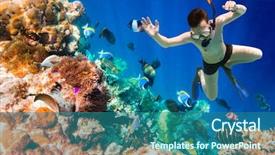  Presentation with brain sports - PPT theme enhanced with snorkeler diving along the brain background and a ocean colored foreground