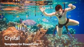  Presentation with brain and spinal cord - PPT layouts with snorkeler diving along the brain background and a tawny brown colored foreground