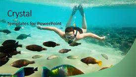  Presentation with brain - Cool new slides with snorkeler diving along the brain backdrop and a cyan colored foreground