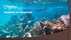  Presentation with mexico - Cool new theme with snorkeling-in-caribbean-sea-mexico backdrop and a teal colored foreground