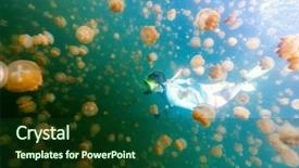  Presentation with golden woman - PPT theme with snorkeling with endemic golden jellyfish background and a forest green colored foreground