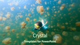  Presentation with golden woman - Presentation theme consisting of snorkeling with endemic golden jellyfish background and a ocean colored foreground