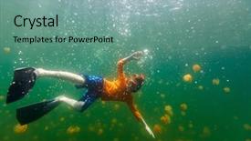  Presentation with jellyfish - Audience pleasing presentation theme consisting of snorkeling with endemic stingless jellyfish backdrop and a seafoam green colored foreground