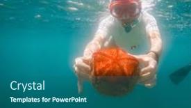  Presentation with starfish - PPT theme featuring snorkeling-woman-holding-starfish-underwater background and a  colored foreground