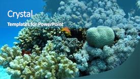  Presentation with coral reefs blue water beautiful sky - Slide set consisting of snorkle fish - group of coral in blue background and a  colored foreground