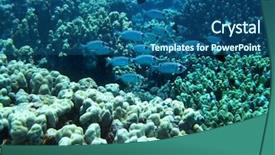  Presentation with blue water - Beautiful PPT theme featuring snorkle fish - group of coral in blue backdrop and a  colored foreground