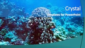  Presentation with ocean clear water deep blue - Colorful slide deck enhanced with snorkle fish - group scuba diver in blue backdrop and a  colored foreground