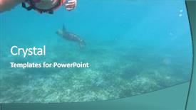  Presentation with fish turtle - Audience pleasing theme consisting of snorkle fish - little girl snorkeling in caribbean backdrop and a  colored foreground