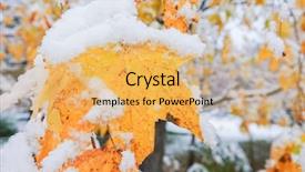  Presentation with fall colors - Presentation theme consisting of snow and fall colors background and a  colored foreground