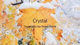  Presentation with fall colors - Presentation with snow and fall colors background and a  colored foreground