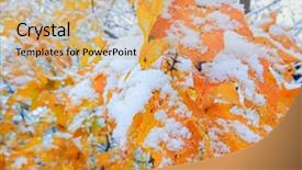  Presentation with fall colors - Colorful presentation theme enhanced with snow and fall colors backdrop and a  colored foreground