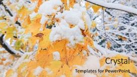  Presentation with fall colors - Presentation theme having snow and fall colors background and a  colored foreground
