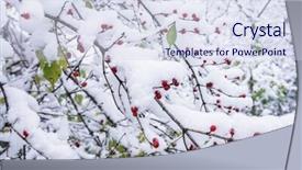  Presentation with fall colors - Audience pleasing presentation consisting of snow and fall colors backdrop and a  colored foreground