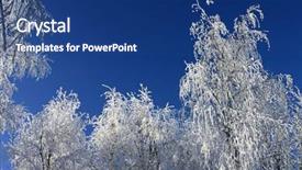  Presentation with bound - PPT theme with snow-bound trees in a park background and a ocean colored foreground