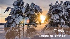  Presentation with bound - Colorful slide set enhanced with snow-bound trees backdrop and a coral colored foreground